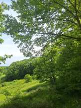 Sakarya Adapazarı Kayrancık 'Ta Doğayla İç İçe Yatırım