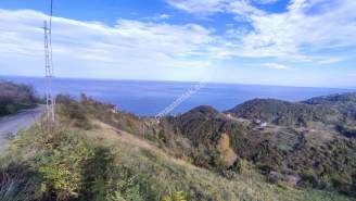 Trabzon Akçaabat Mersinde Satılık Araziler