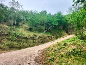 Trabzon Arsin Elmaalanda Satılık Arsa