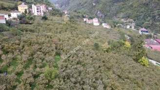 Trabzon Kutlugün Mah Satılık Arsa