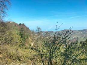 Trabzon Yomra Gürsel Mahallesi'Nde Satılık Arazi