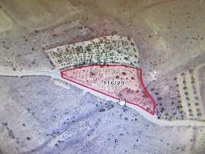 Kayseri Develi Tonbak Mahallesi Satılık Bağ