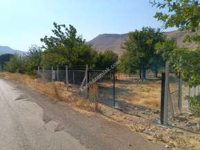 Kayseri Develi Zile Mah Satlık Bag Arsa