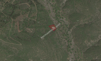 Manisa Demirci Çanakçı Satılık Bağ 1200M2