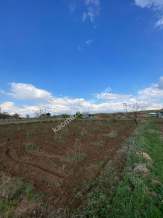 Nevşehir Ürgüp Karakaya Köyü Anayola Yakın Satılık Bağ