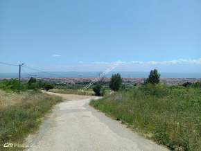 Tekirdağ Şarköy Camiikebir Mahallesi Satılık Bağ Bahçe