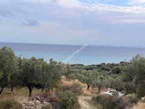 Tekirdağ Şarköy Kirazlı Mahallesi Satılık İmara Yakın