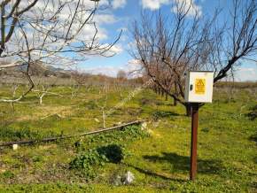 Kaçmaz Emlak Nazilliden Sultanhisar Kavaklıda Fırsat Ho