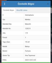 Gümüşhane Merkez Mescitli'De Anayola Çok Yakın Mesafed