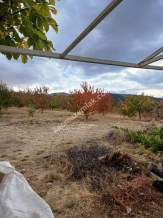 Niğde,Ulukışla,Kılan Yaylası Satılık Bahçe