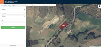 Sakarya Kaynarcada Satılık Fındıklık