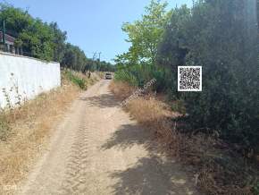 Tekirdağ Şarköy Aşağıkalamış Mahallesi Satılık Arsa