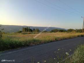 Tekirdağ Şarköy Kirazlı Mahallesi Satılık Tarla