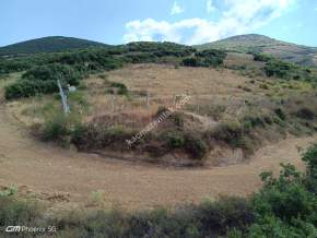 Tekirdağ Şarköy Tepeköy Mah.yarı Fiyatına Hobi Bahçesi