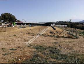 Çanakkale Bayramiç İlçesi Bıyıklı Köyü Satılık Çiftlik