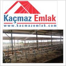 İzmir Tire'De Satılık 48.000 M2 Çiftlik