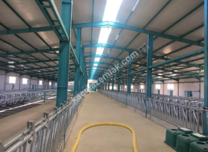 Yozgat Boğazlıyan'Da Satılık Sıfır 1000 Başlık Çiftlik