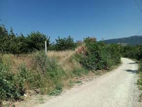 Tek,Rdağ Şarköy Kirazlı Mahallesi Satılık Konut Arsası