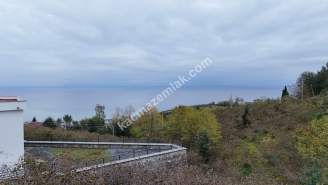 Trabzon Akçaabat Söğütlü'De Satılık Arsa