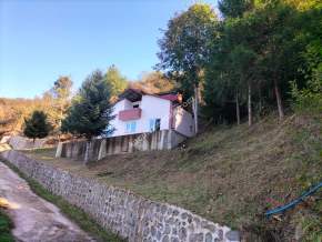 Trabzon Arsin'De Elmalan Mahallesi'Nde Satılık Arazi