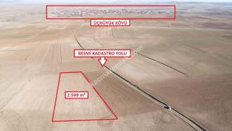 Kütahya Altıntaş Üçüyük 2599M2 Satılık Tarla