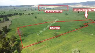 Kütahya Aslanapa Aslıhanlar 7391 M2 Satılık Tarla