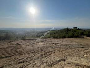 Adana Karaisalı Emelcik Asfalt Kenarı