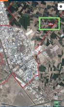 Afyon Susuz Da Satılık Tarla