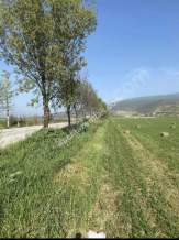 Kaçmaz Emlak Nazilliden Satılık Verimli Tarla