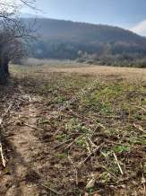 Bilecik Merkez Karaağaç Köyü Satılık Tarla