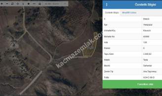 Bilecik Yenipazar Kavacık 3.948M2 Ceviz Tarlası Satılık