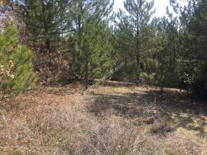 Bursa Harmancık Kepedere Mh Satılık 1937 M² Tarla