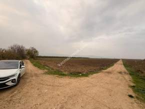 İnegöl Sungurpaşa Köy Satılık Köşe Konum Tarla Arazi