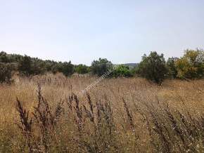 Mudanya Mirzaobada Satılık Hobi Bahçesi