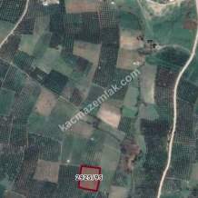 Bursa Mudanya Yalıçiftlik Mah.satılık Tarla 4623 M2