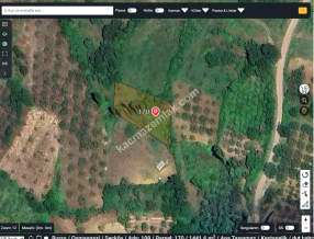 Bursa Osmangazi Seçköy Satılık 1441 M2 Tarla Resmi Yol