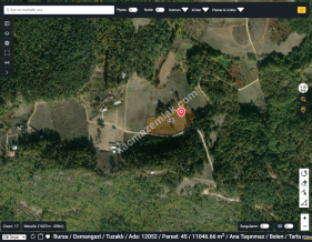 Bursa Osmangazi Tuzaklı Köyün De Satılık Tarla 11046M2