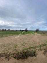 Enez Gülçavuş'Da 'Kaçmaz Fırsat' Kelepir 11.874 M² S