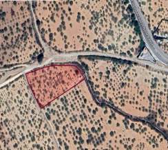 Yola Sıfır Yukarı Arıl Da 5 Dönüm Tek Tapu Yer