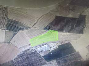 Kayseri Develi Reşadiye Mah Satlık Tarla