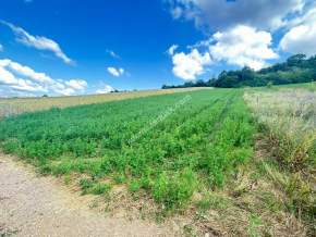 Kocaeli Derincede Satılık Arazi