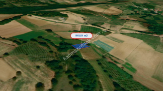 Kocaeli Kandıra Mülkşehsuvar'Da 910 M2 Meyve Bahçesi