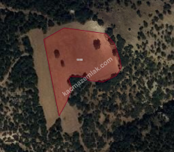 Kütahya Merkez Çöğürler Satılık 6781M2 Tarla