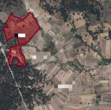 Ortaköy'De Satılık Tarla