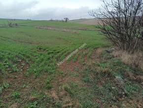 Tekirdağ Malkara Kavakçeşme Köyünde Satılık Tarla