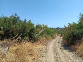 Tekirdağ Şarköy Gaziköy Mahallesi Satılık