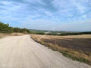 Tekirdağ Şarköy İstiklal Mahallesi Satılık Tarla