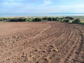 Tekirdağ Şarköy Kızılcaterzi Mahallesi Satılık Tarla