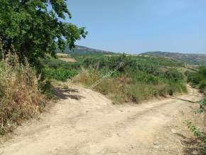 Tekirdağ Şarköy Mursallı Mahallesinde Satılık Tarla