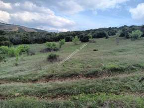 Tekirdağ Şarköy Yeniköy Mahallesi Satılık Tarla